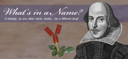 What's in a Name?